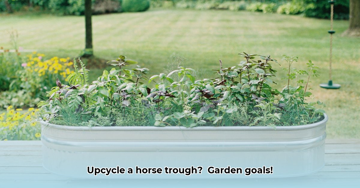 horse-trough-planter-tractor-supply